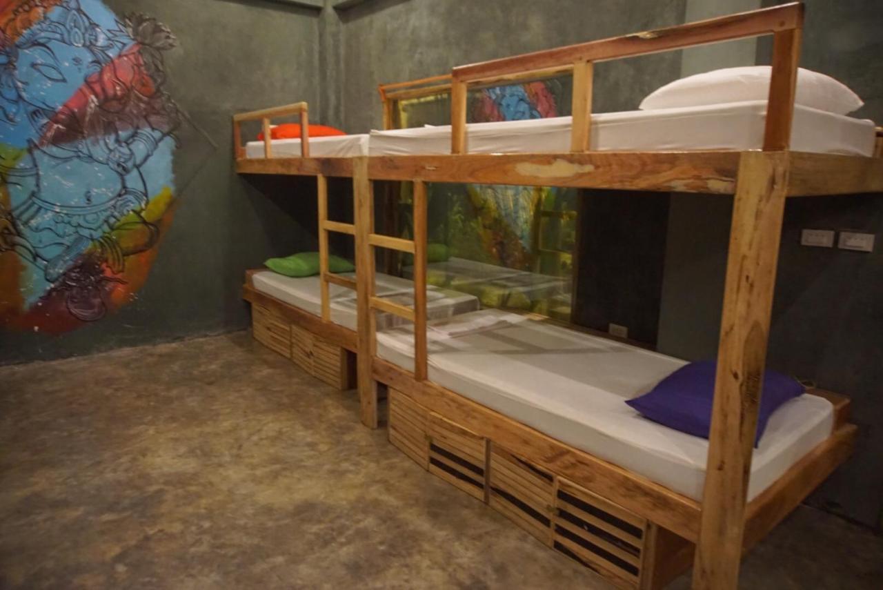 Bunk Bed Mixed Dormitory Room